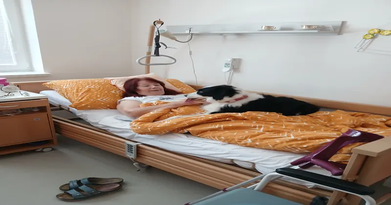 Canisterapie, muzikoterapie, ergoterapie: co aktivizace seniorů skutečně přináší